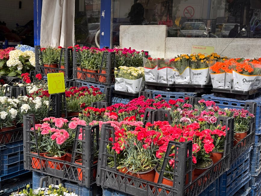 Outdoor display of various potted flowers arranged in black plastic crates outside a flower shop. The arrangement includes bright pink, red, white, orange, and yellow blooms, with some wrapped in whit